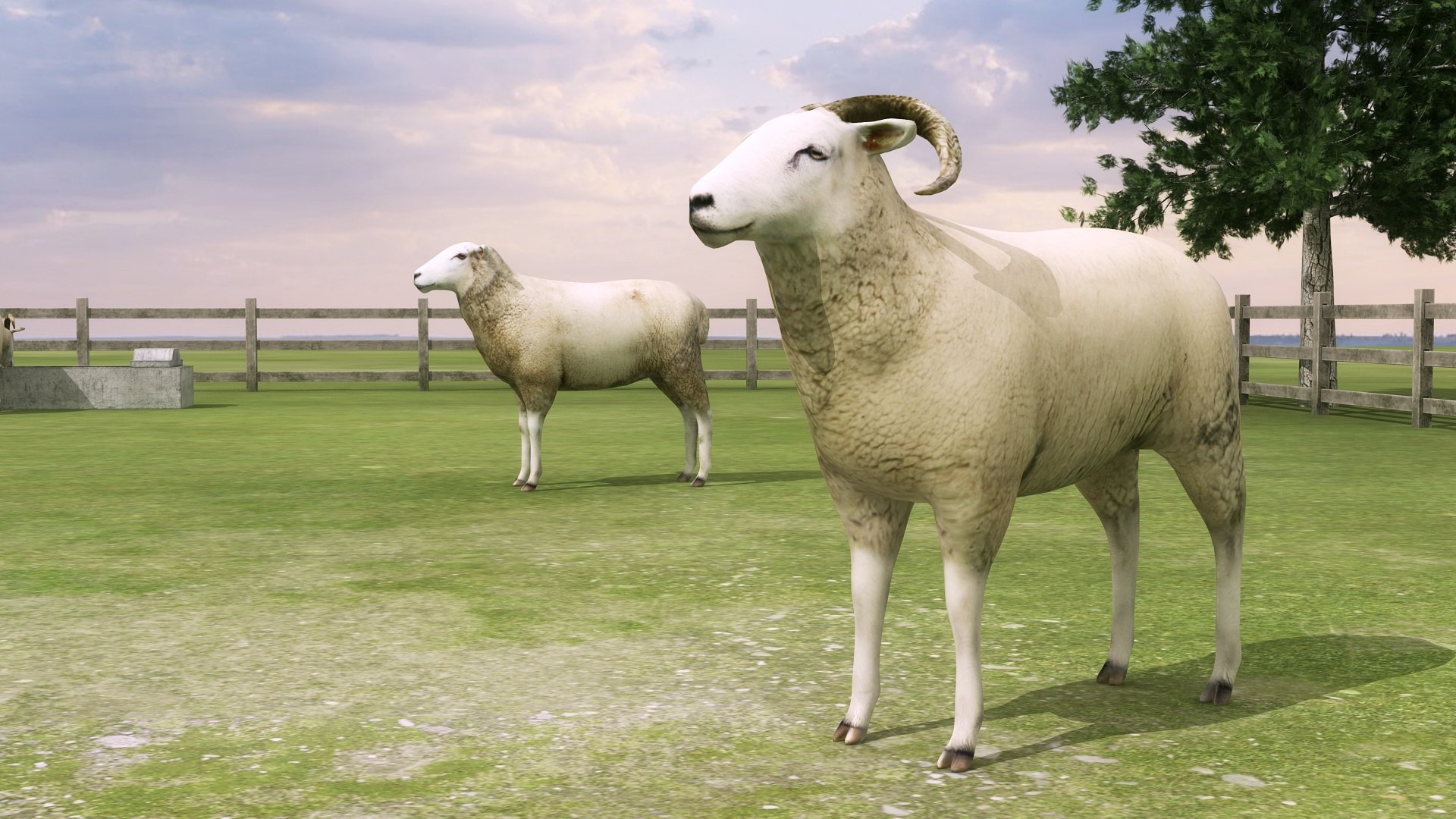 3D model Sheep Farm https://p.turbosquid.com/ts-thumb/ob/FvRmqp/Au/sheepfarm6/jpg/1763463375/1920x1080/fit_q87/0be2256daf56bd3c2d441f53652bbe61efd1b02d/sheepfarm6.jpg