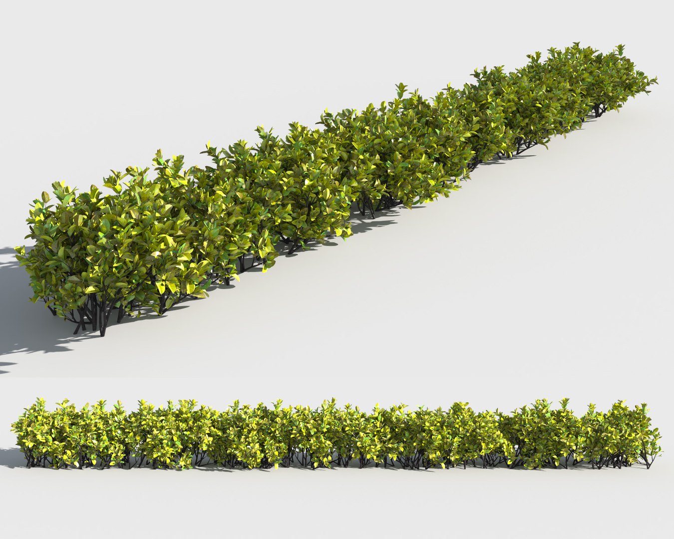 3D Shrubs Hedges Multiscatter 2 - TurboSquid 1196252