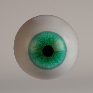 human eye 3d model