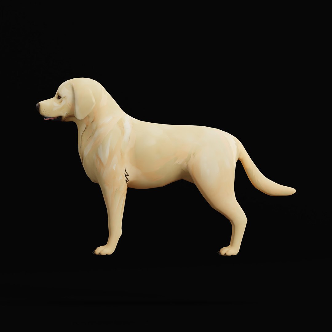 3D model Labrador Retriever Stylized Dog https://p.turbosquid.com/ts-thumb/ob/Lglq1m/Se/labradorretrieverstylizedao_0005/jpg/1766862848/1920x1080/fit_q87/c63112365dadbde5ed2abf604a30ad87e6b8f7c7/labradorretrieverstylizedao_0005.jpg