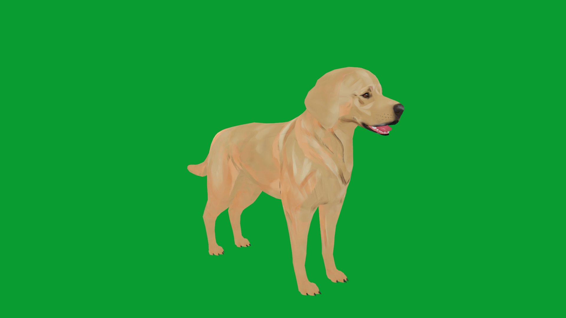 3D model Labrador Retriever Stylized Dog https://p.turbosquid.com/ts-thumb/ob/Lglq1m/U1/lab_dog4/png/1766862823/1920x1080/fit_q87/35ab969a889a37dd3c3243b599057a6e08b5a79e/lab_dog4.jpg