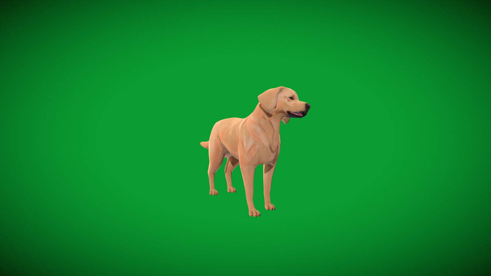 3D model Labrador Retriever Stylized Dog https://p.turbosquid.com/ts-thumb/ob/Lglq1m/hP/lab_dog/png/1766862839/1920x1080/fit_q87/c5b89305680303a8ca843006696e2bcb282051b9/lab_dog.jpg