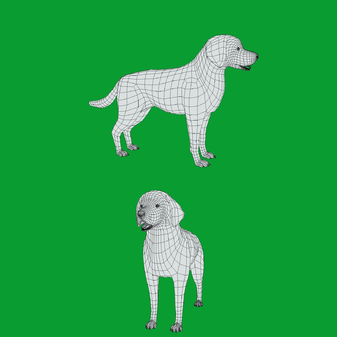 3D model Labrador Retriever Stylized Dog https://p.turbosquid.com/ts-thumb/ob/Lglq1m/ol/wire/png/1766862849/1920x1080/fit_q87/88deedc2231321e21f1ac24e1919bb8c2d939630/wire.jpg