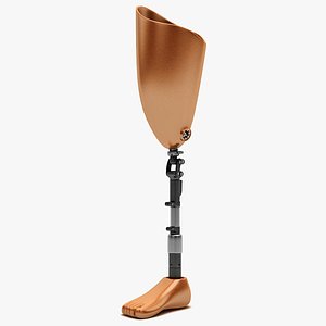 prosthetic leg 3ds