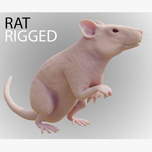 3D RET FOR VFX CGI model