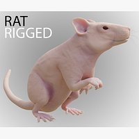RET FOR VFX CGI