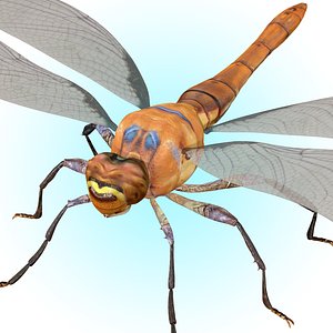Dragonfly Rigged 3D model