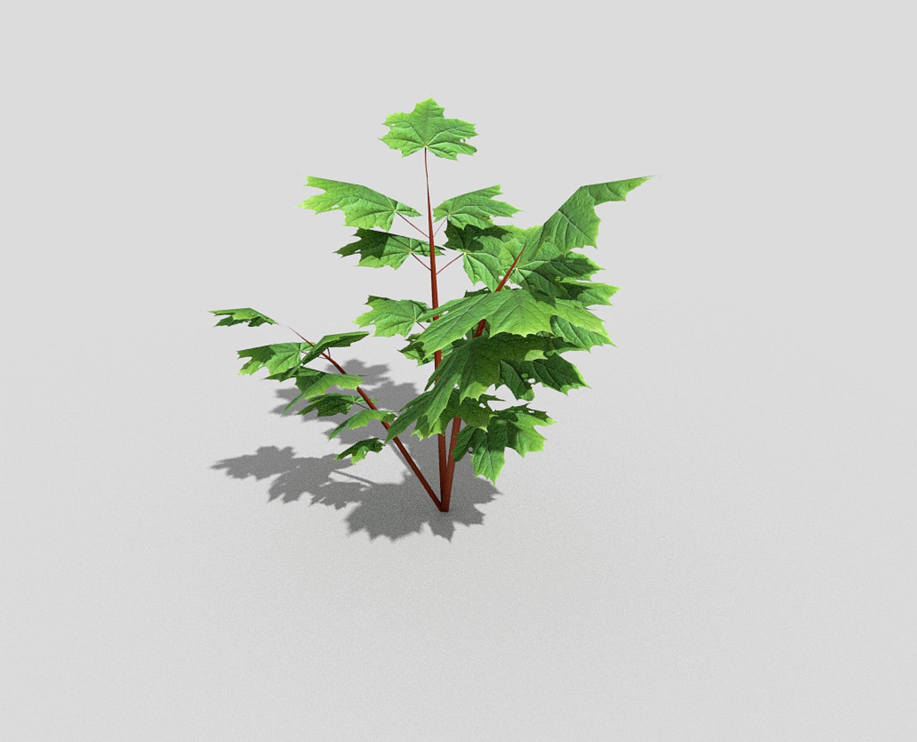 3d model tree https://p.turbosquid.com/ts-thumb/ob/Z0J7cI/GbVfZPz8/4/jpg/1485416837/1920x1080/fit_q87/0c25d6320dcc52445159fb54680659704a18b762/4.jpg