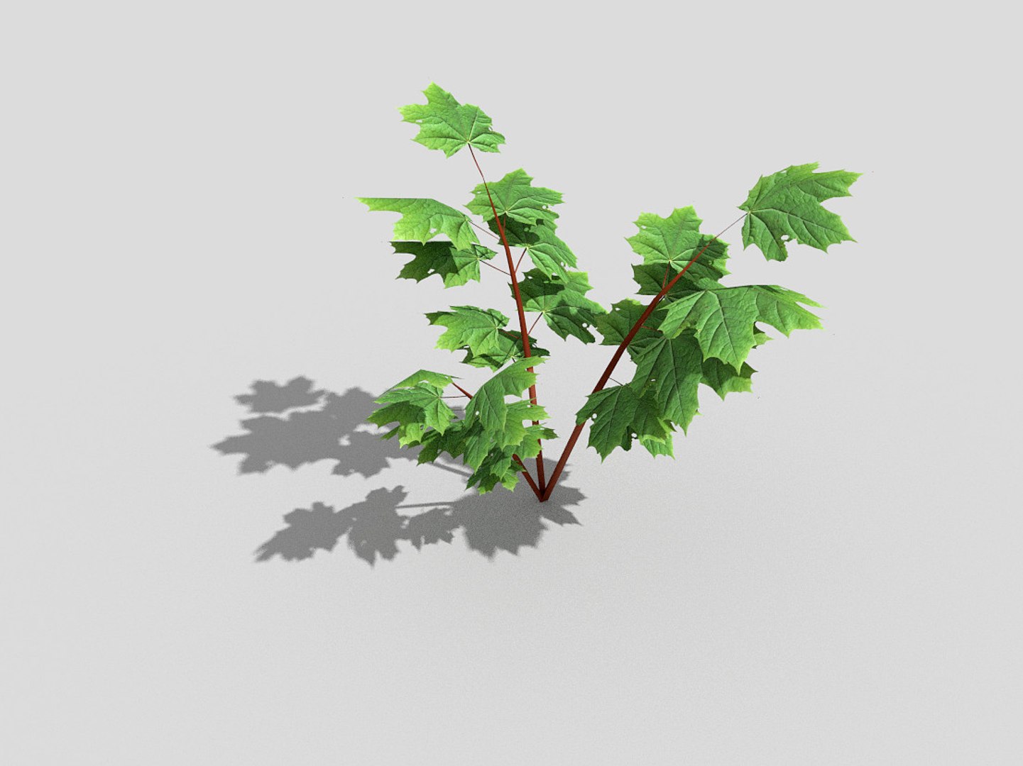 3d model tree https://p.turbosquid.com/ts-thumb/ob/Z0J7cI/pu0sLYkp/1/jpg/1485416837/1920x1080/fit_q87/fa3024503790adde5b21339d08931d1eb9891144/1.jpg