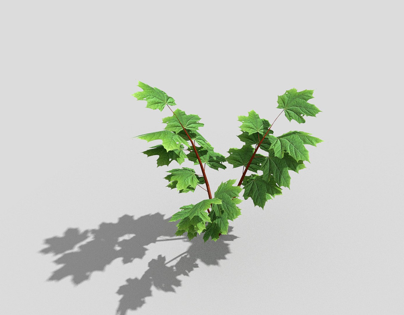 3d model tree https://p.turbosquid.com/ts-thumb/ob/Z0J7cI/qFZcLnYI/2/jpg/1485416837/1920x1080/fit_q87/8876cb83b92cc6d1516f16505e4fa761d037f064/2.jpg