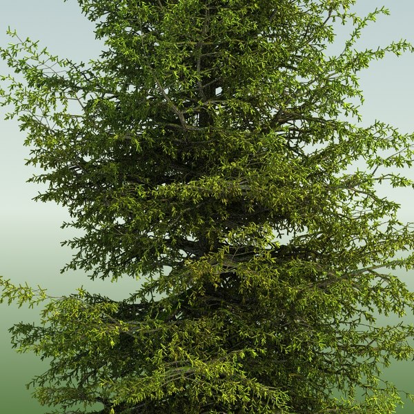 3d tree