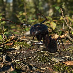 Worker Ant Fur Rigged For Blender 3D model