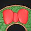 3D Wreath Cookie model