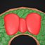 3D Wreath Cookie model