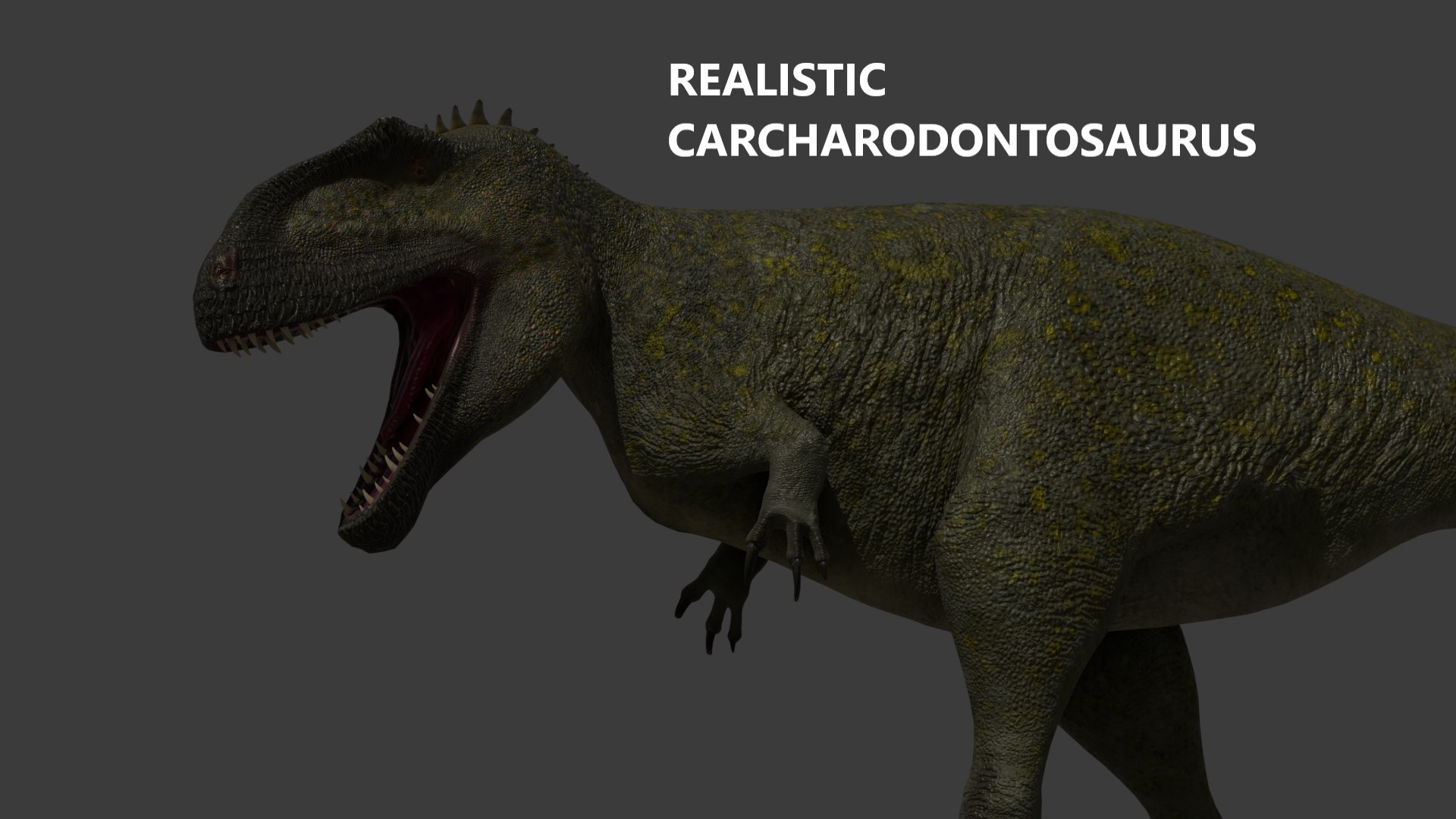 3D Model Carcharodontosaurus Lowpoly 3D Model - TurboSquid 2367609