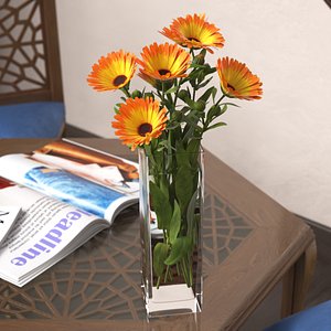Calendula Blossoms in Tall Vase with Water Yellow Fur