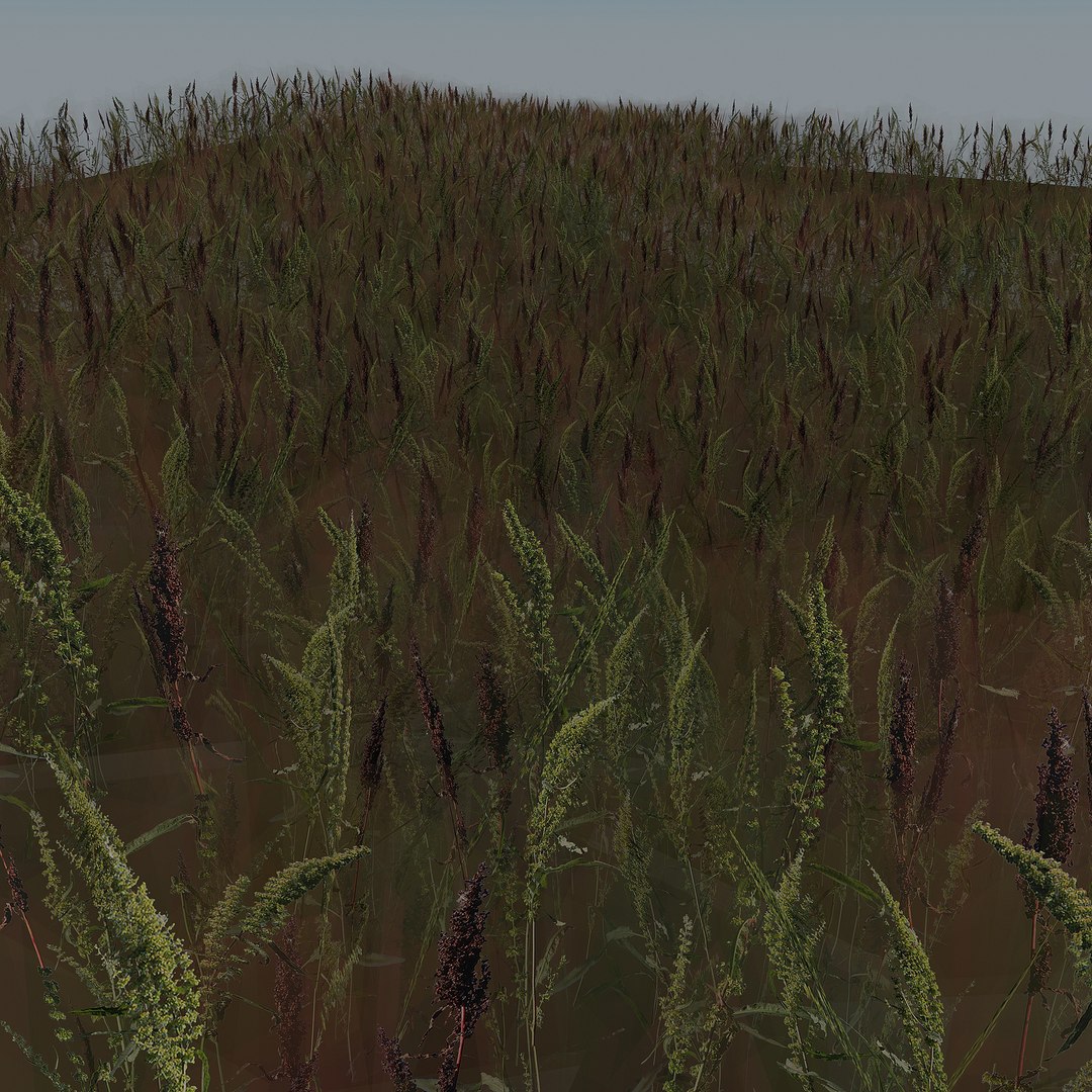 grass red shoots 3D https://p.turbosquid.com/ts-thumb/ob/kW6HjA/OIqRTmz5/5/jpg/1603781001/1920x1080/fit_q87/cf3c78db592b95f6d6bff591187c0f238e8cd4d1/5.jpg