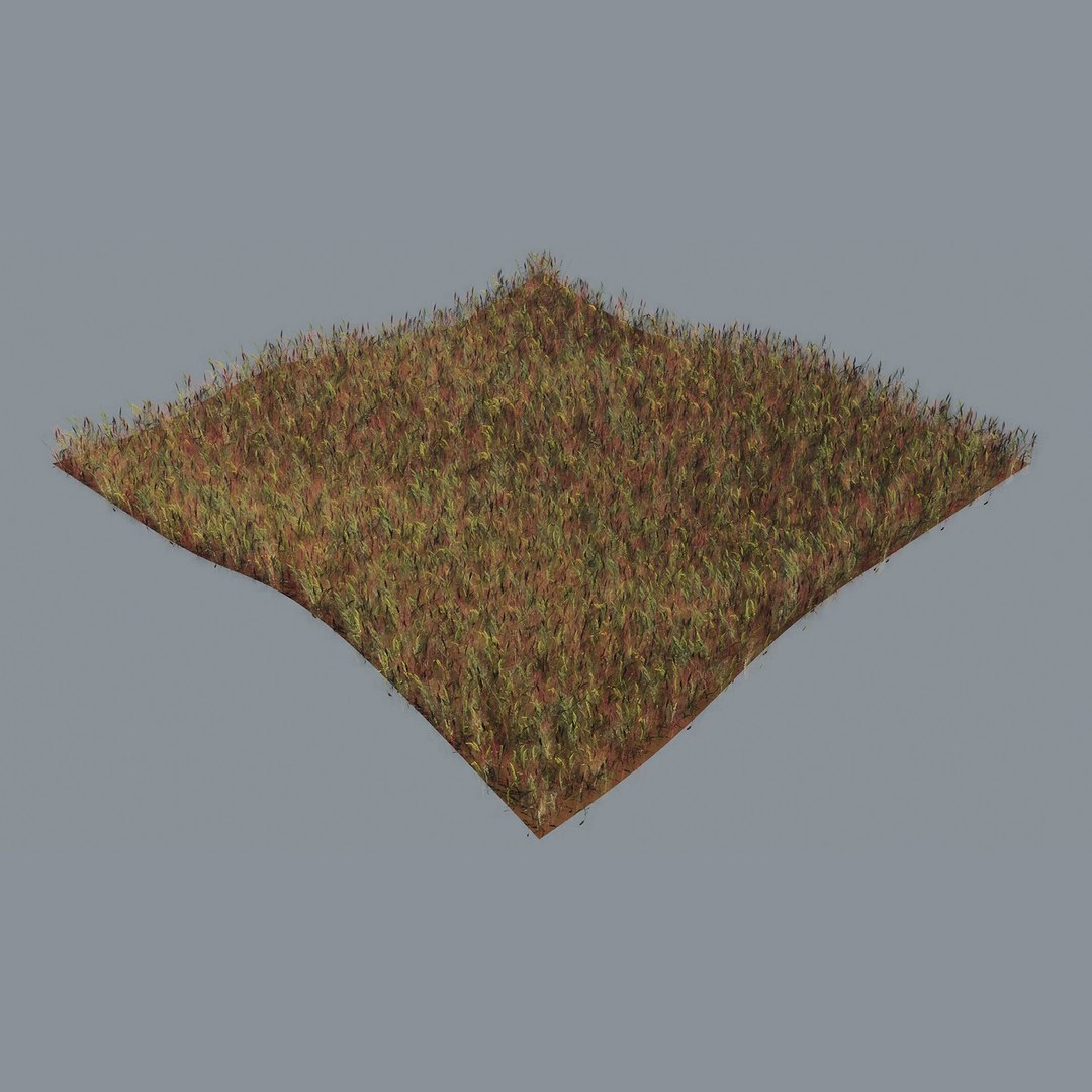 grass red shoots 3D https://p.turbosquid.com/ts-thumb/ob/kW6HjA/QUMbho4J/9/jpg/1603913948/1920x1080/fit_q87/2266f28019c45766ed47672793295fa017a0951d/9.jpg