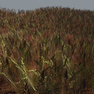grass red shoots 3D
