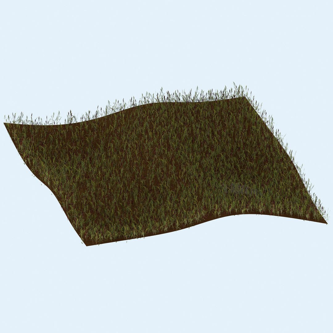 grass red shoots 3D https://p.turbosquid.com/ts-thumb/ob/kW6HjA/pkyWQQPR/3/jpg/1603781074/1920x1080/fit_q87/0052d7ae01a2d0118d77b4709e12d762965cb03c/3.jpg