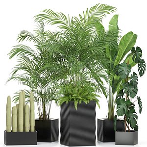 Plants collection 595 3D model