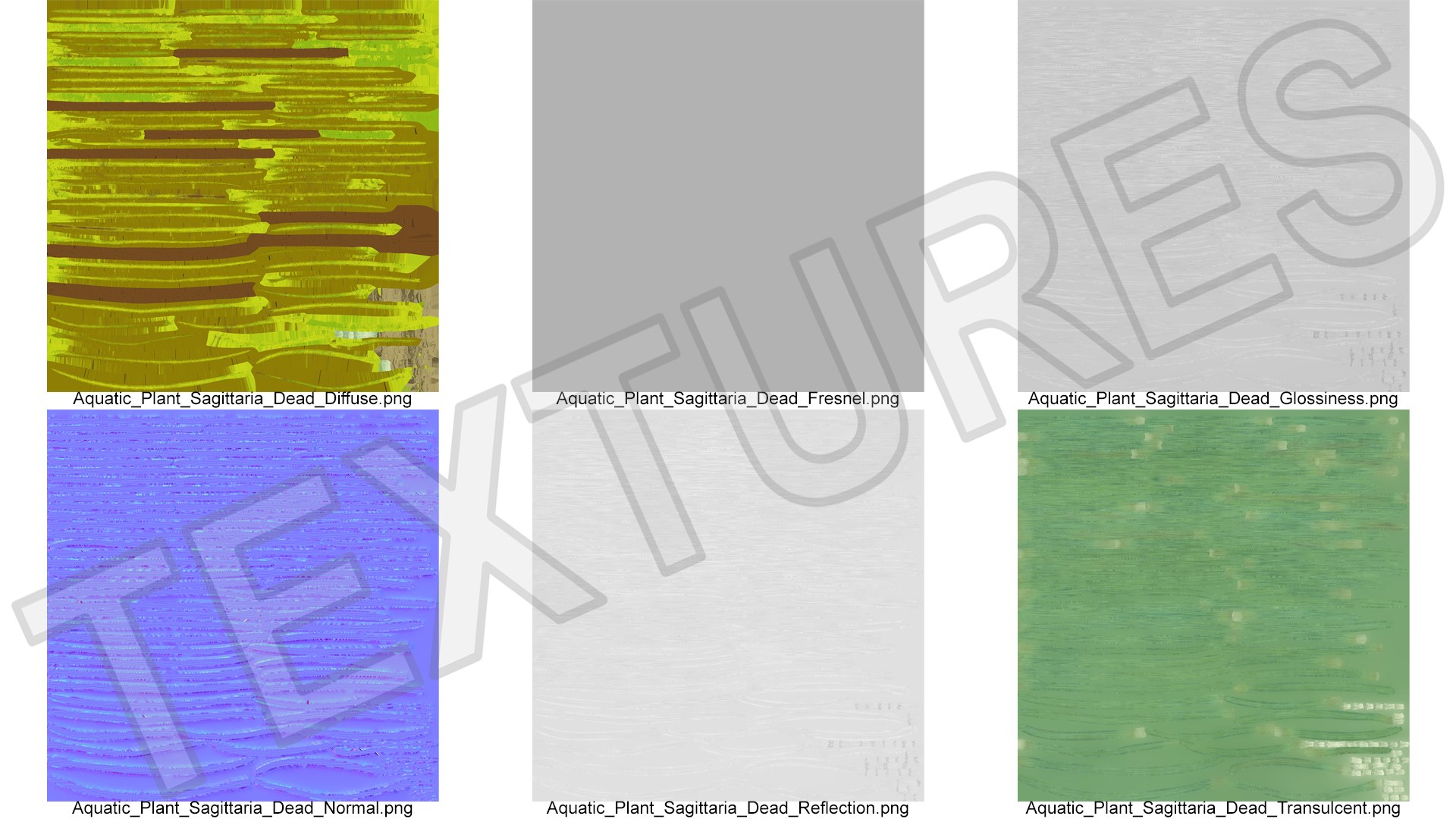 3D Aquatic Plant Sagittaria Dead model https://p.turbosquid.com/ts-thumb/ob/mHlsJD/Q0/aquaticplantsagittariadeadmb3dmodel012/jpg/1672353312/1920x1080/fit_q87/146d0aa1eabfd11ad454e696bb4518379d7e7783/aquaticplantsagittariadeadmb3dmodel012.jpg