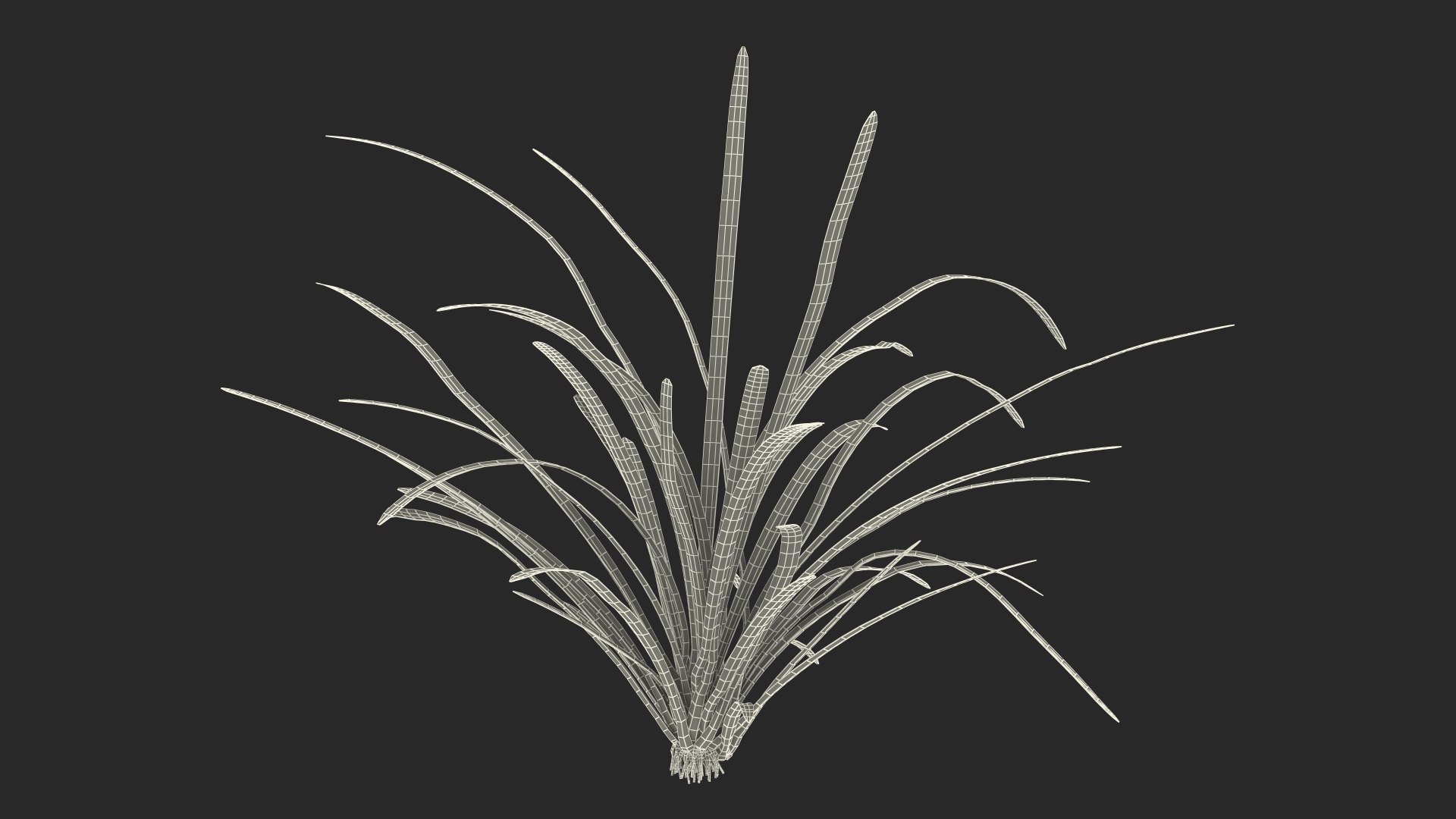 3D Aquatic Plant Sagittaria Dead model https://p.turbosquid.com/ts-thumb/ob/mHlsJD/QB/aquaticplantsagittariadeadmb3dmodel015/jpg/1672353322/1920x1080/fit_q87/9b2a038781bbe454be05627209ab09008d869da8/aquaticplantsagittariadeadmb3dmodel015.jpg