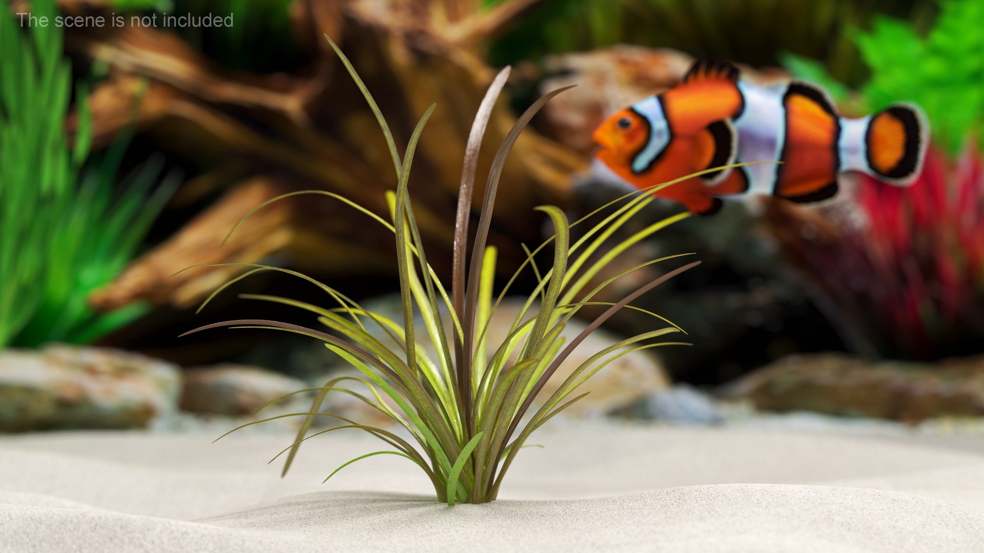 3D Aquatic Plant Sagittaria Dead model https://p.turbosquid.com/ts-thumb/ob/mHlsJD/cD/aquaticplantsagittariadeadmb3dmodel002/jpg/1672353276/1920x1080/fit_q87/cc837fc5098a6e3f780ad38f04deb1a559bea6dc/aquaticplantsagittariadeadmb3dmodel002.jpg