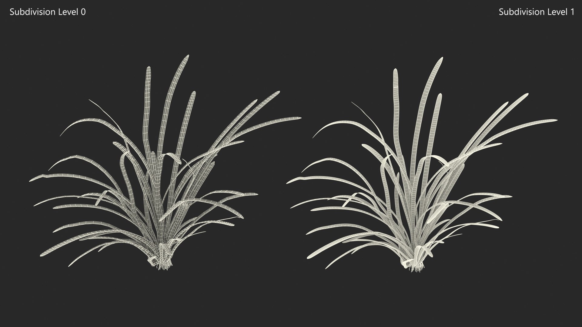 3D Aquatic Plant Sagittaria Dead model https://p.turbosquid.com/ts-thumb/ob/mHlsJD/kd/aquaticplantsagittariadeadmb3dmodel010/jpg/1672353302/1920x1080/fit_q87/407c0653682a786bbc083cd774ad06feed4569bc/aquaticplantsagittariadeadmb3dmodel010.jpg