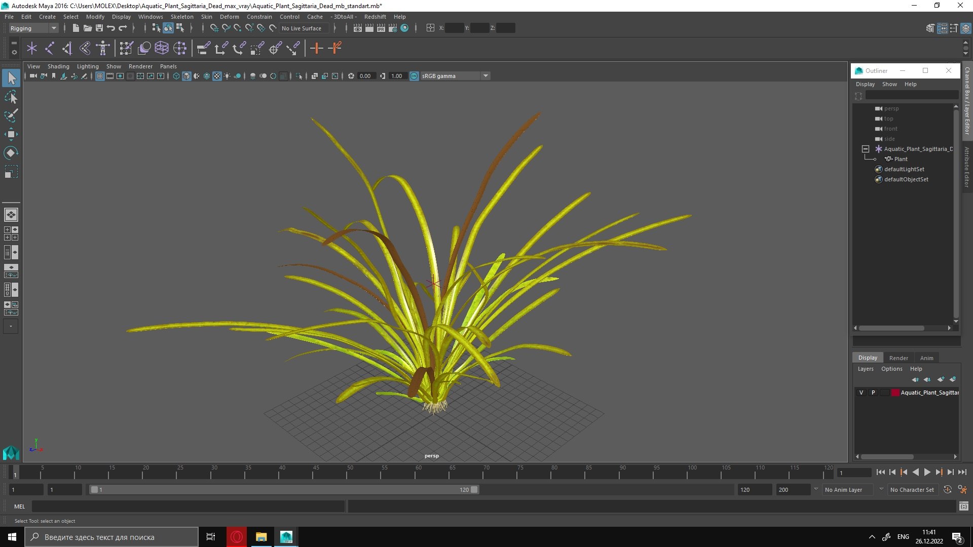 3D Aquatic Plant Sagittaria Dead model https://p.turbosquid.com/ts-thumb/ob/mHlsJD/kk/aquaticplantsagittariadeadmb3dmodel021/jpg/1672353340/1920x1080/fit_q87/0b1cba416b8f10b2d381a77d9ef06512fbca547b/aquaticplantsagittariadeadmb3dmodel021.jpg