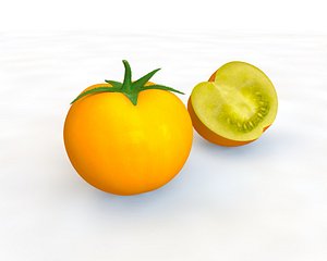 tomato 3D model