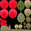 Garden Flower Camellia Red