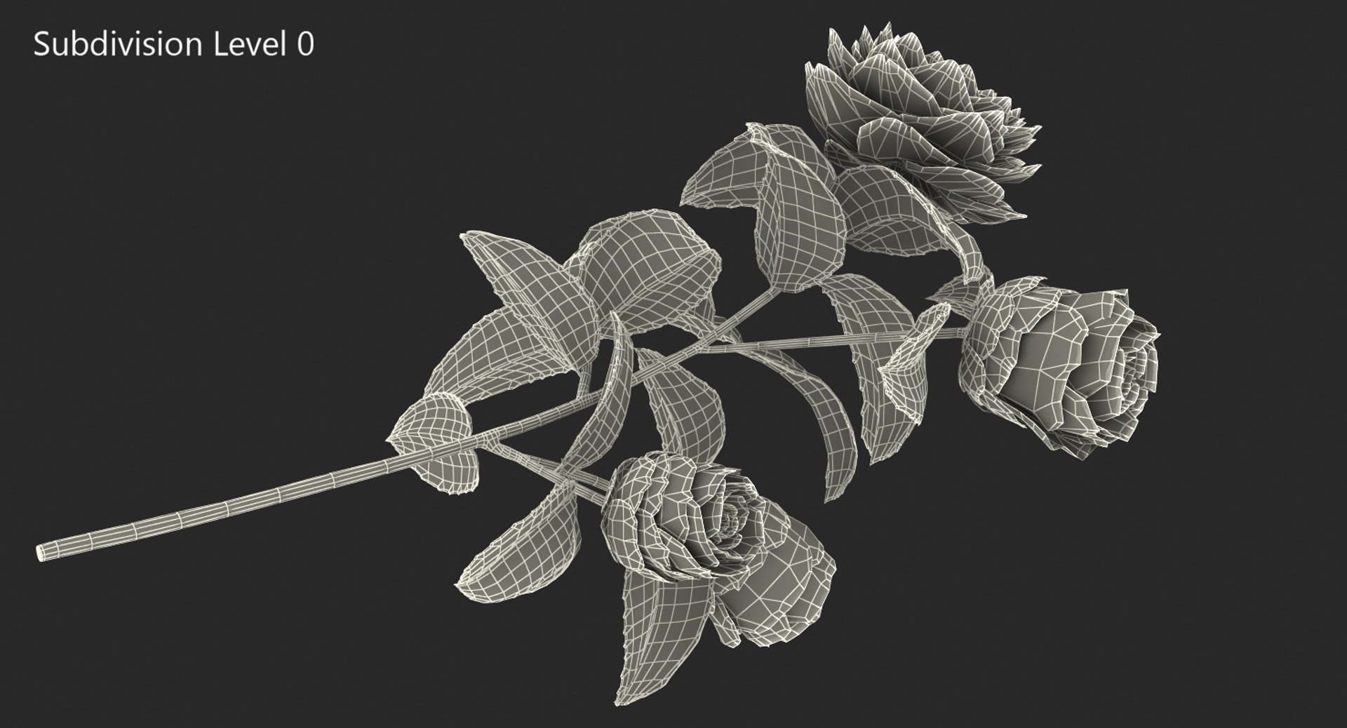 garden flower camellia red 3D model https://p.turbosquid.com/ts-thumb/oc/L2o6nS/eM7hQ7S8/gardenflowercamelliaredc4dmodel011/jpg/1525586667/1920x1080/fit_q87/9a15674315d3e6893f80c2ebdfdea761e7d8dc2b/gardenflowercamelliaredc4dmodel011.jpg