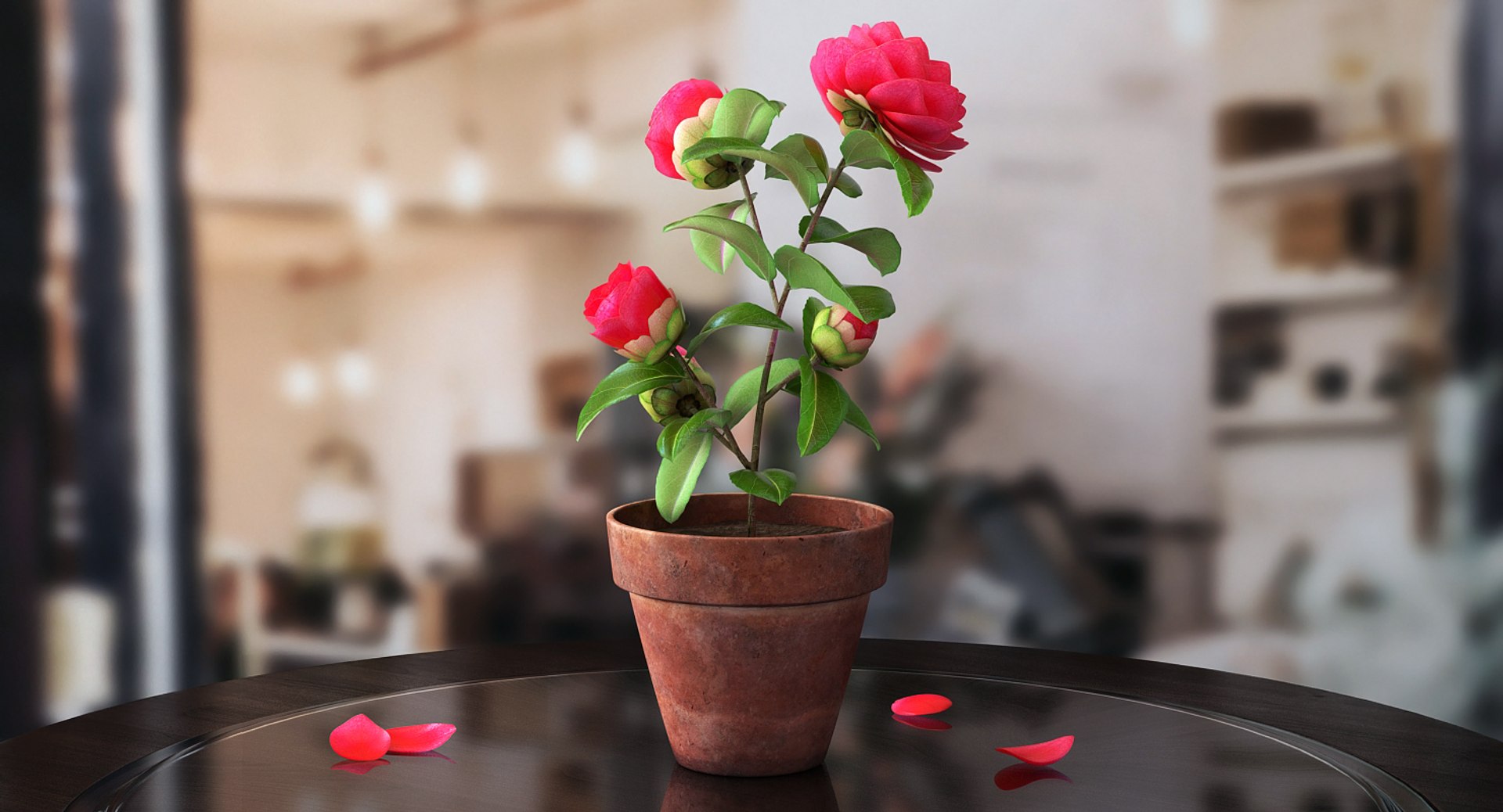 garden flower camellia red 3D model https://p.turbosquid.com/ts-thumb/oc/L2o6nS/flQNbu9y/gardenflowercamelliaredc4dmodel002/jpg/1525586632/1920x1080/fit_q87/f8c67e01038143e12e866e667ffe36cec9588fc2/gardenflowercamelliaredc4dmodel002.jpg