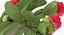 Garden Flower Camellia Red