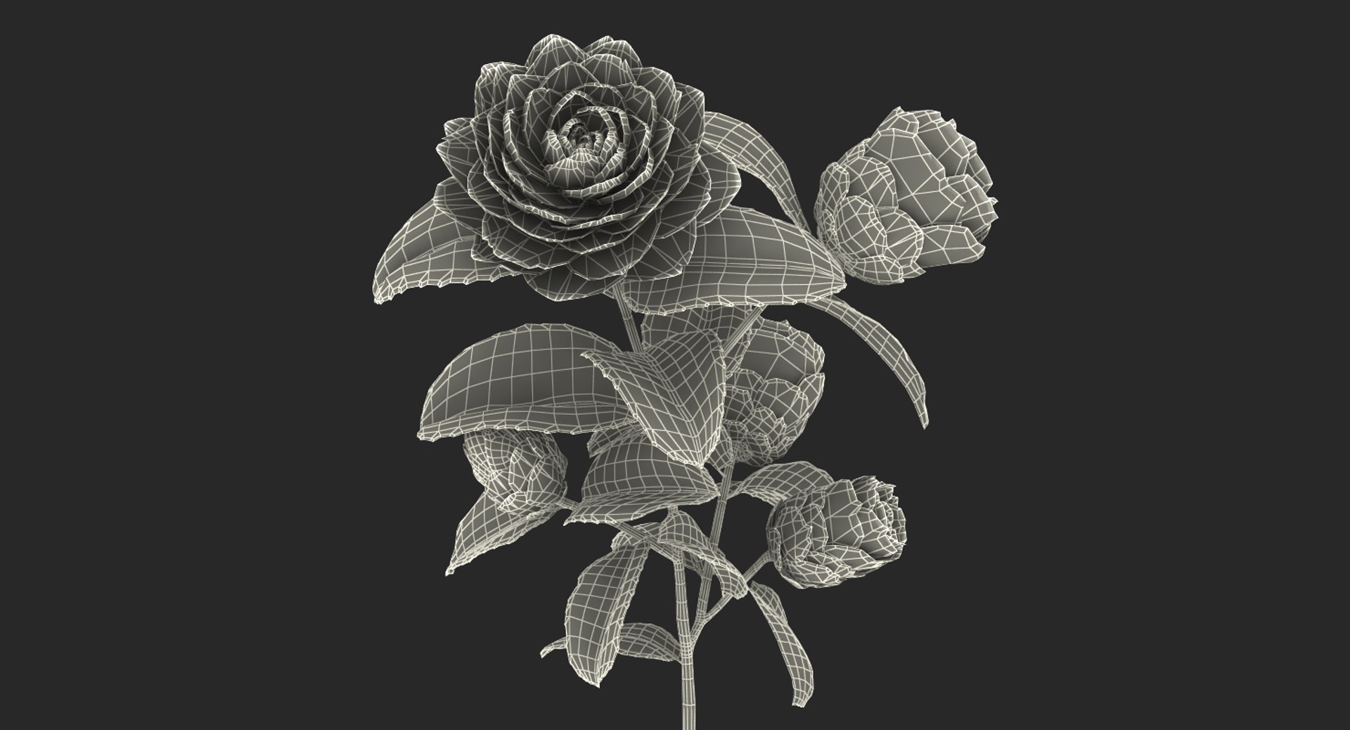 garden flower camellia red 3D model https://p.turbosquid.com/ts-thumb/oc/L2o6nS/xUUbpjKB/gardenflowercamelliaredc4dmodel018/jpg/1525586693/1920x1080/fit_q87/abc2614e5dabbf2e5b1d6a311b8f4b1ffb79ceb7/gardenflowercamelliaredc4dmodel018.jpg