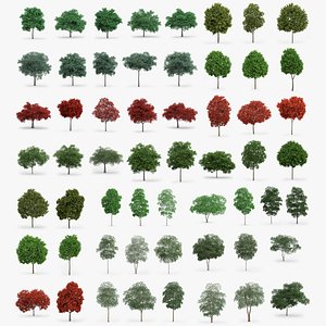 60 Trees Collection