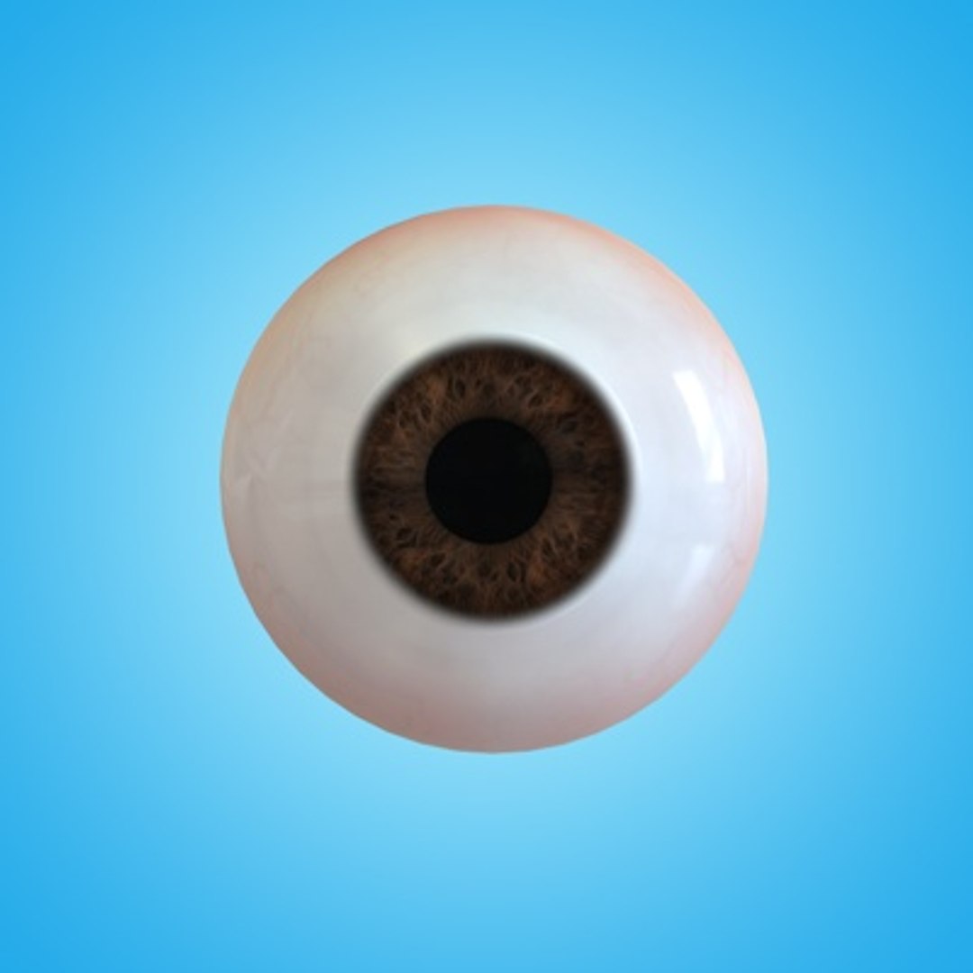 3d Model Eye Ball