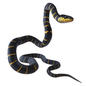 Animated Mangrove Snake