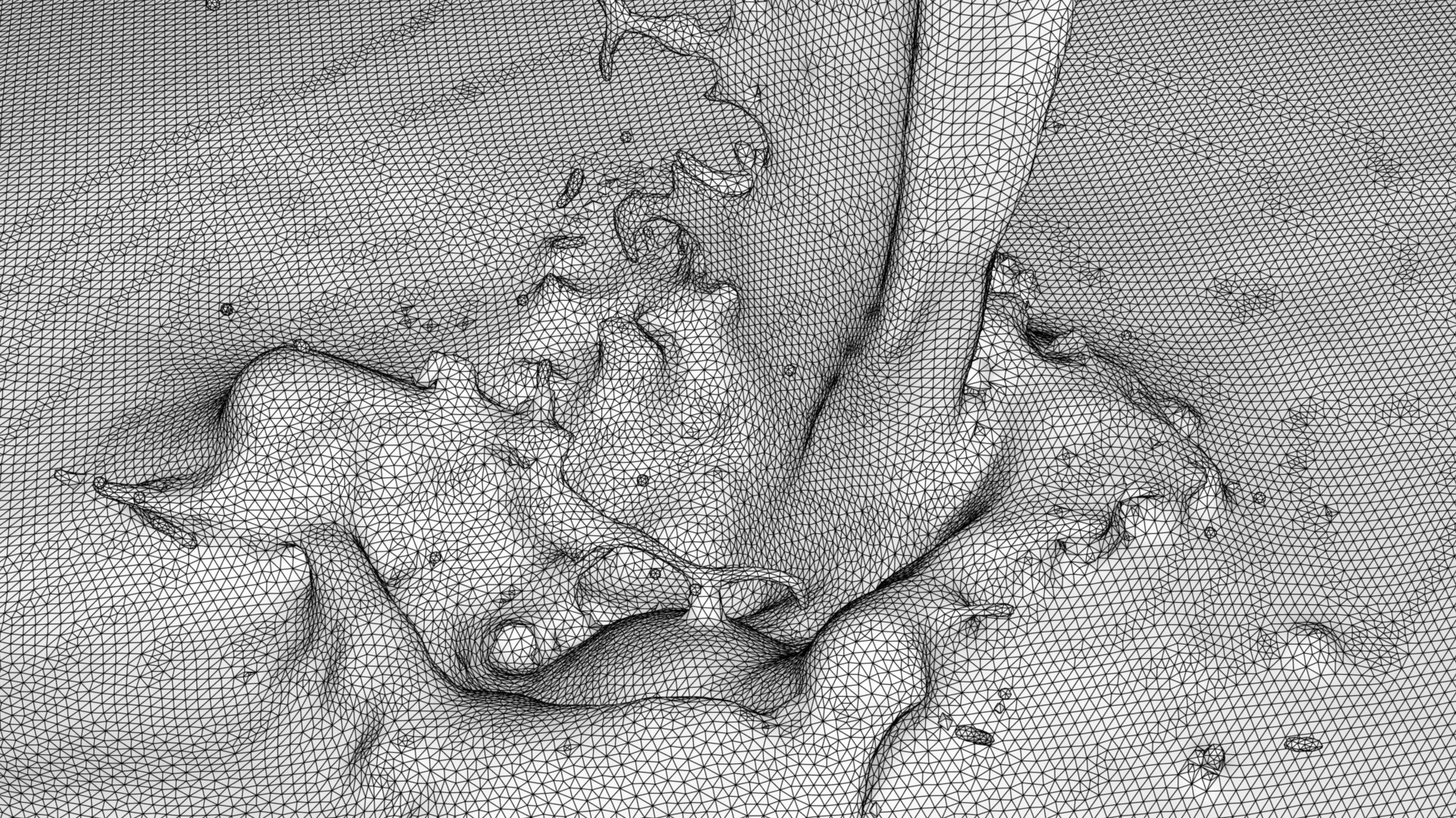 3D simulated fluid model https://p.turbosquid.com/ts-thumb/oc/l09lK2/2uzpLMp3/3dfluidsplashwireframe/jpg/1605082949/1920x1080/fit_q87/7d1afdce0a62a289ea25b1c6fce76d60c7add5b5/3dfluidsplashwireframe.jpg