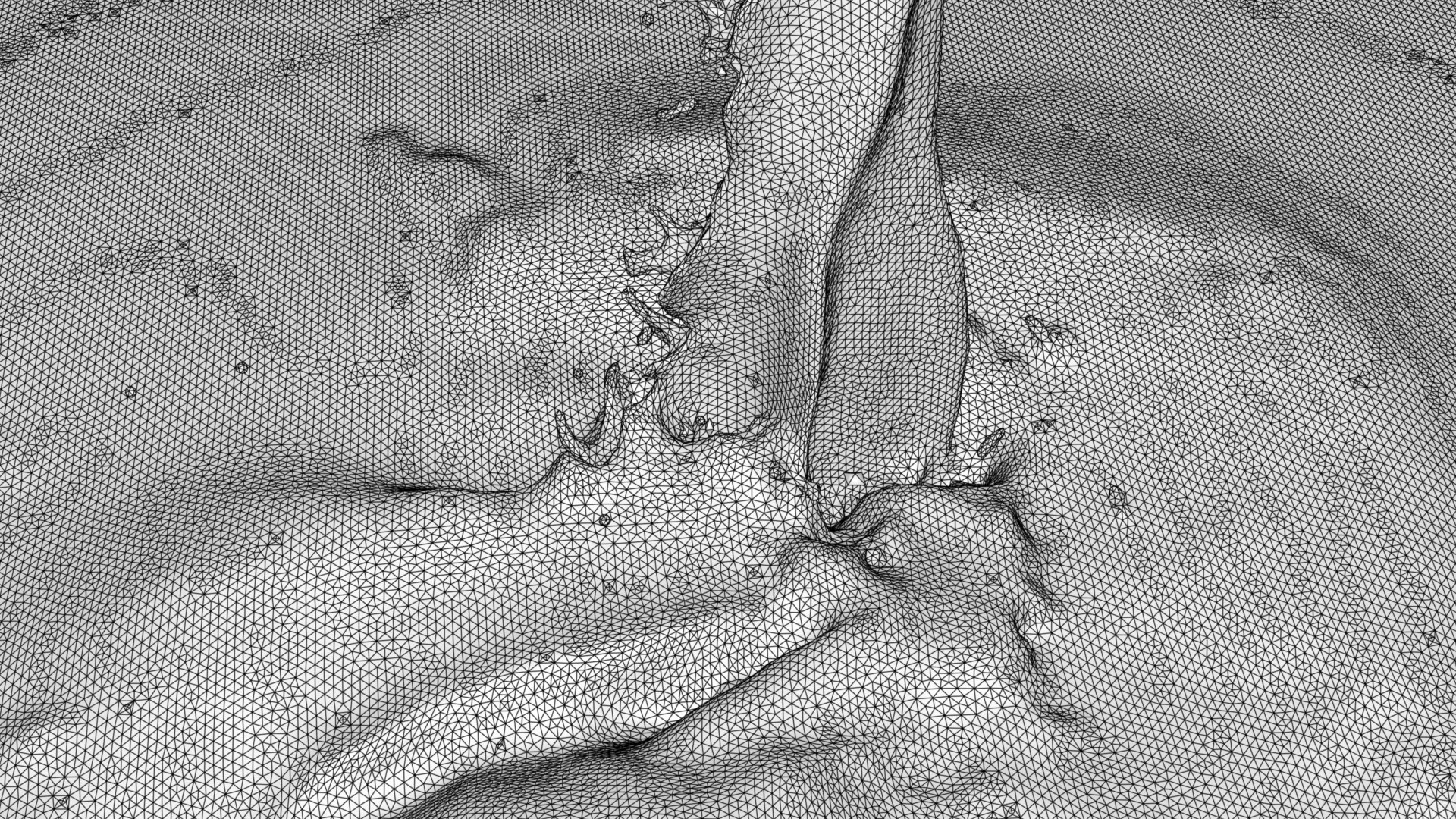 3D simulated fluid model https://p.turbosquid.com/ts-thumb/oc/l09lK2/b8pQEIS2/fluidsimulationwireframe/jpg/1605082968/1920x1080/fit_q87/fc6fd3af7518b3bde6b8d7b6b405609d119b631a/fluidsimulationwireframe.jpg