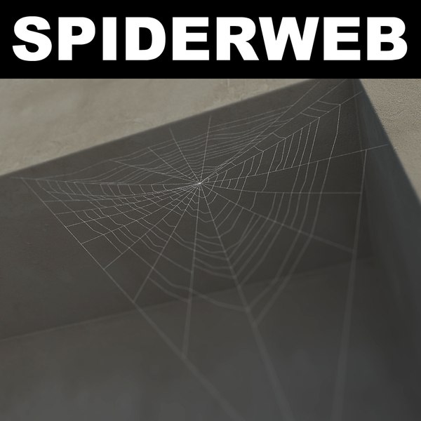 spiderweb web 3d model