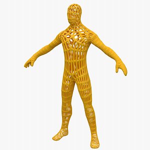 Human Lattice Structure Figure
