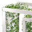 Vine Bench