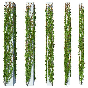 Column with Ivy v1