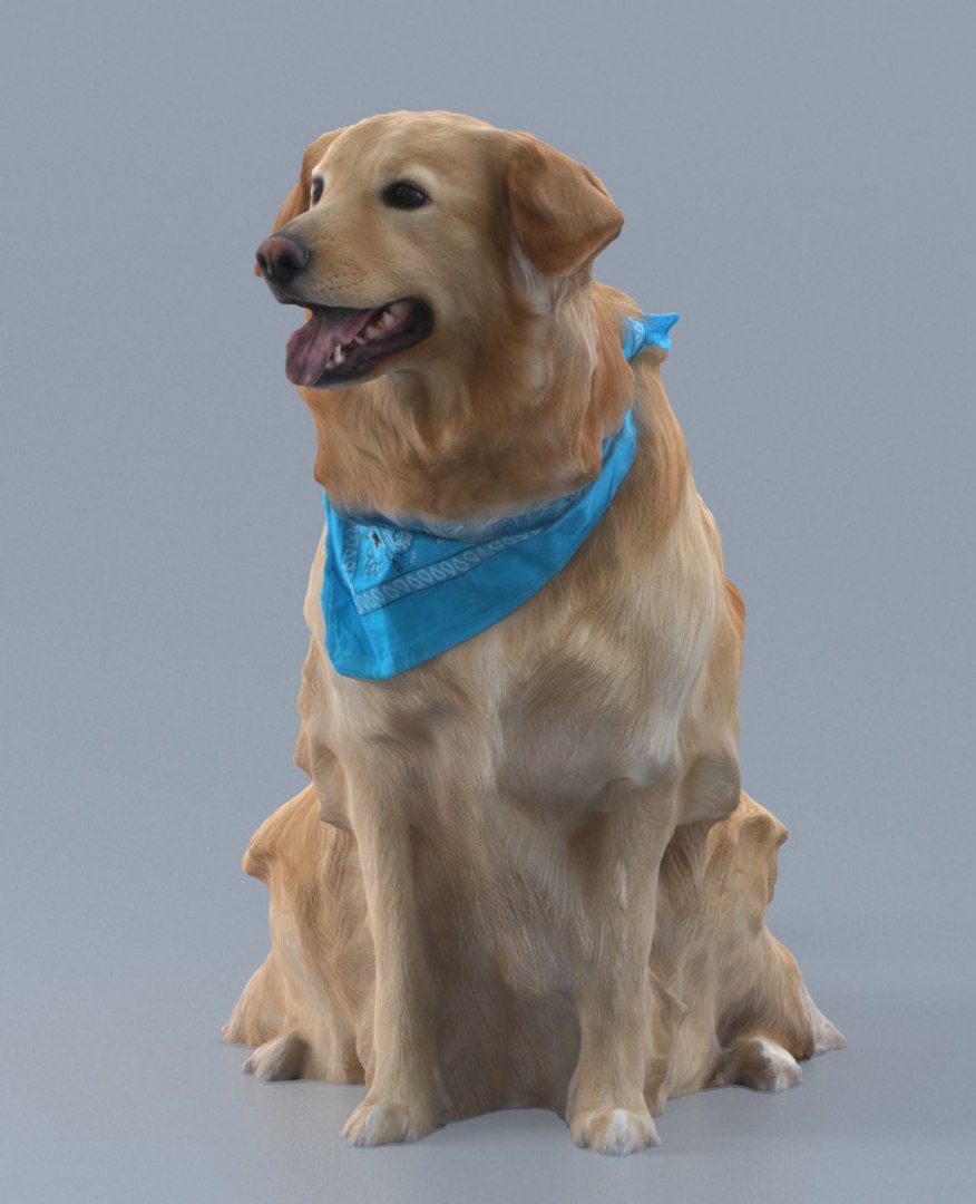 3D dog https://p.turbosquid.com/ts-thumb/oc/yZexoo/hc0zk90p/2/jpg/1521430552/1920x1080/fit_q87/2e5c8d9d7655e58f473087a0f53e3817ec6349c3/2.jpg