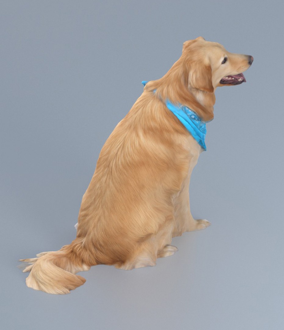 3D dog https://p.turbosquid.com/ts-thumb/oc/yZexoo/wi3nZn68/3/jpg/1521430556/1920x1080/fit_q87/94c71121898619f3e4f7fb699f46b53a26d08739/3.jpg