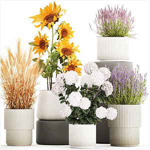 Set of beautiful plants and flowers in flowerpot 1307