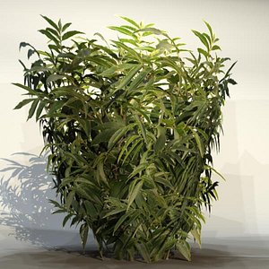 3d model pc bush
