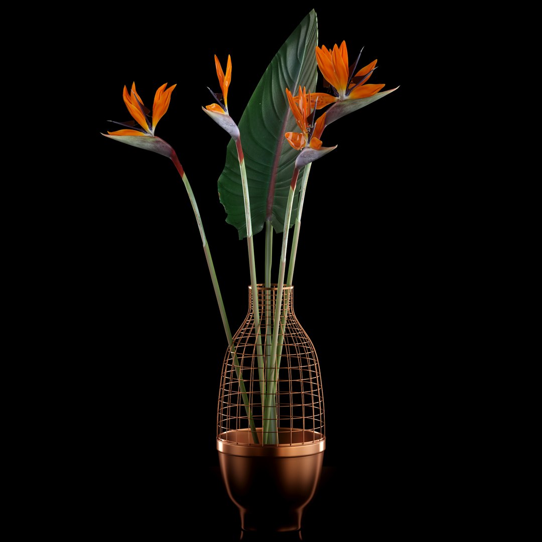 realistic strilicia flowers grid 3d model https://p.turbosquid.com/ts-thumb/od/OCTezl/LNJvBjk2/6/jpg/1487074091/1920x1080/fit_q87/37c67d836717e687cbb13e040f06c5b4cb0d396f/6.jpg